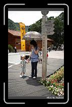 IMG_4222 * 566 x 910 * (246KB)