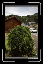 IMG_4223 * 566 x 910 * (250KB)