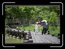 IMG_4247 * 850 x 608 * (235KB)