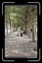 IMG_4316 * 566 x 910 * (236KB)