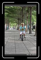 IMG_4325 * 566 x 910 * (220KB)