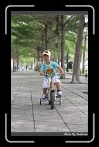 IMG_4327 * 566 x 910 * (248KB)