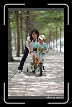 IMG_4334 * 566 x 910 * (240KB)
