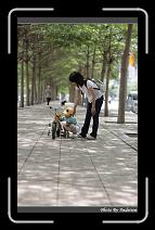 IMG_4336 * 566 x 910 * (226KB)