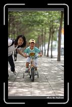 IMG_4339 * 566 x 910 * (244KB)