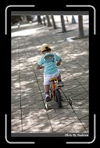 IMG_4383 * 566 x 910 * (242KB)