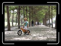 IMG_4391 * 850 x 608 * (239KB)