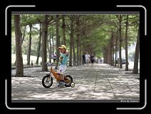 IMG_4395 * 850 x 608 * (240KB)