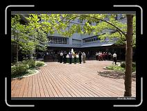 IMG_4465 * 850 x 608 * (248KB)