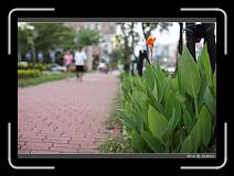 IMG_4503 * 850 x 608 * (230KB)