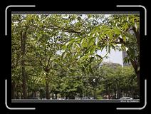 IMG_4534 * 850 x 608 * (248KB)