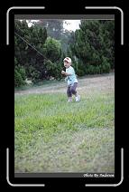 IMG_4563 * 566 x 910 * (245KB)