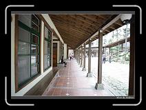 IMG_4612 * 850 x 608 * (231KB)