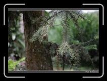 IMG_4615 * 850 x 608 * (216KB)