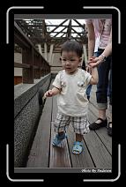 IMG_4633 * 566 x 910 * (249KB)