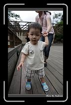 IMG_4634 * 566 x 910 * (228KB)