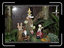 IMG_4659 * 850 x 608 * (241KB)