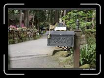 IMG_4661 * 850 x 608 * (231KB)
