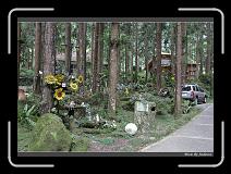 IMG_4665 * 850 x 608 * (243KB)