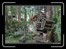 IMG_4669 * 850 x 608 * (233KB)