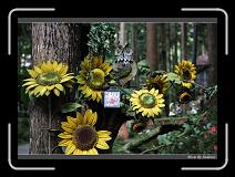 IMG_4673 * 850 x 608 * (241KB)