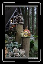 IMG_4675 * 566 x 910 * (244KB)