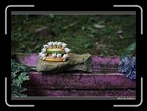 IMG_4676 * 850 x 608 * (241KB)