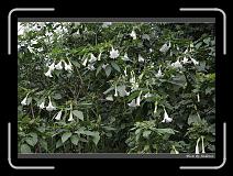 IMG_4689 * 850 x 608 * (249KB)