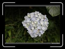 IMG_4693 * 850 x 608 * (240KB)