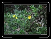 IMG_4711 * 850 x 608 * (244KB)