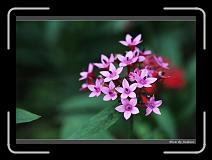 IMG_4717 * 850 x 608 * (225KB)