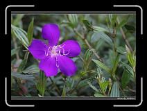 IMG_4721 * 850 x 608 * (221KB)