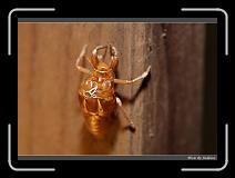IMG_4742 * 850 x 608 * (219KB)