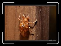 IMG_4748 * 850 x 608 * (249KB)