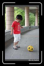IMG_4788 * 566 x 910 * (235KB)
