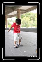 IMG_4818 * 566 x 910 * (232KB)