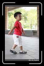 IMG_4819 * 566 x 910 * (226KB)