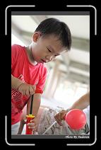 IMG_4828 * 566 x 910 * (244KB)