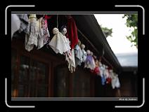 IMG_5118 * 850 x 608 * (205KB)