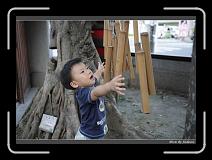 IMG_5126 * 850 x 608 * (246KB)