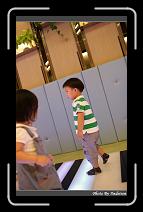 IMG_5227 * 566 x 910 * (247KB)