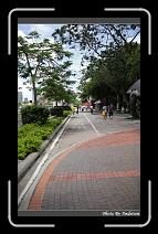 IMG_5269 * 566 x 910 * (249KB)