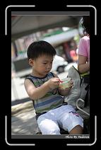 IMG_5311 * 566 x 910 * (229KB)