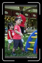 IMG_5478 * 566 x 910 * (230KB)