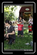 IMG_5519 * 566 x 910 * (247KB)