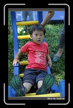 IMG_5699 * 566 x 910 * (248KB)