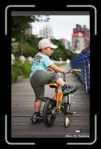 IMG_5822 * 566 x 910 * (227KB)