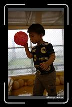 IMG_5995 * 566 x 910 * (220KB)