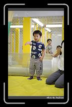 IMG_5998 * 566 x 910 * (225KB)
