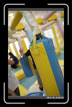 IMG_6031 * 566 x 910 * (228KB)